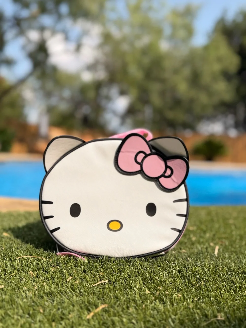 Hello Kitty White & Pink Face-Shaped Cosmetic Bag